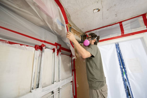 Best Mold Prevention Services  in Center, CO